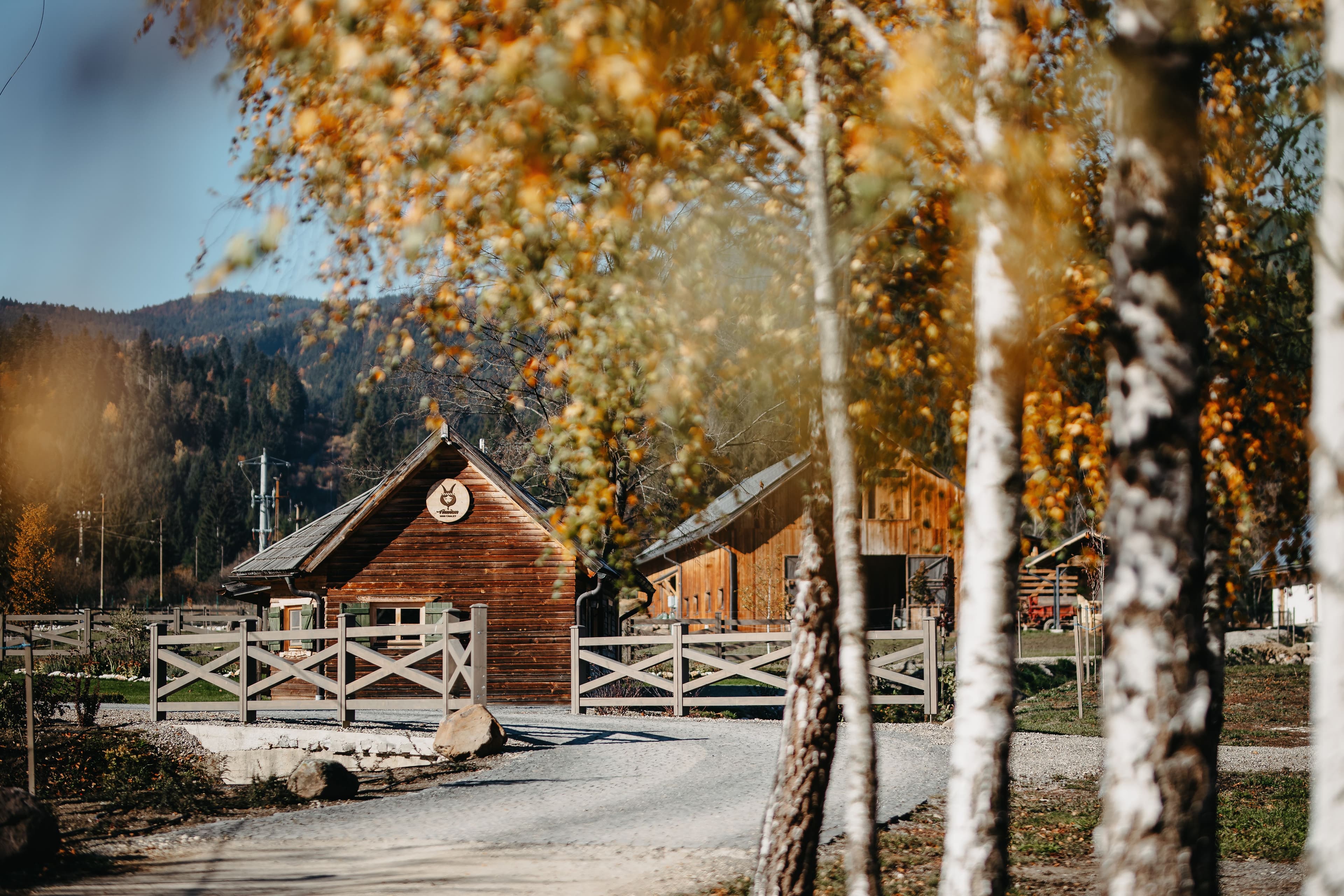 Timian Chalet from above