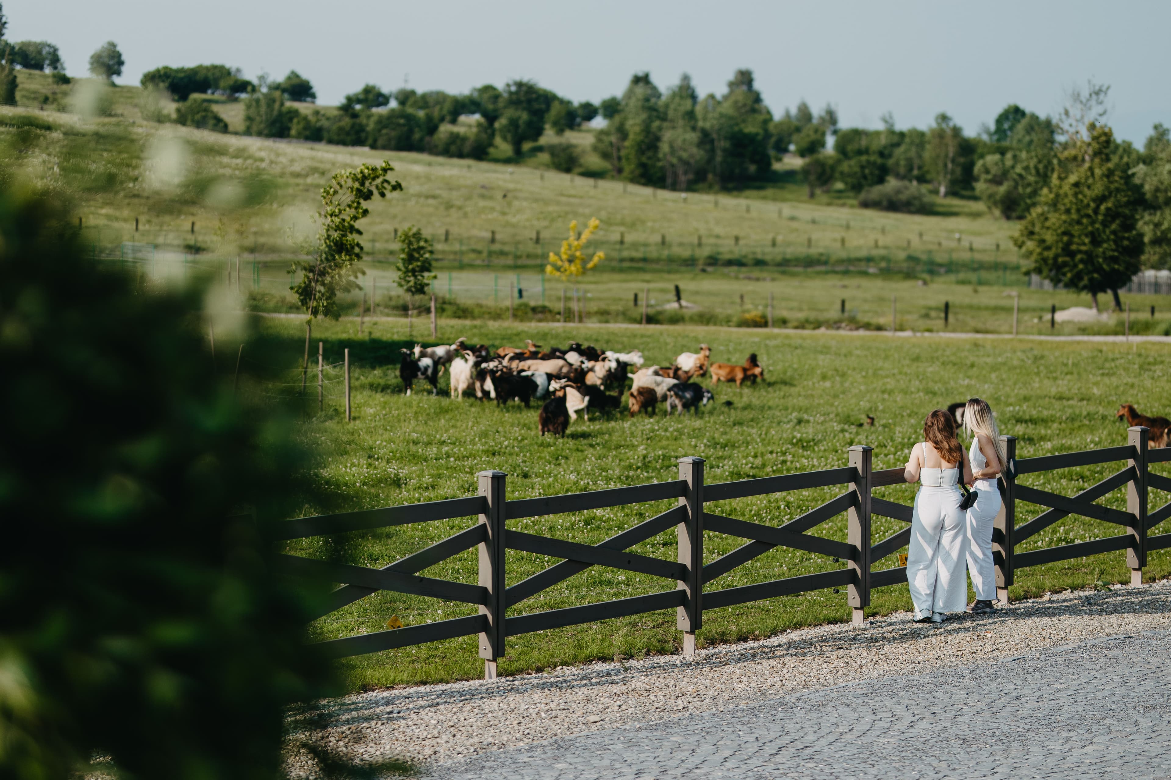 Farm to table dining