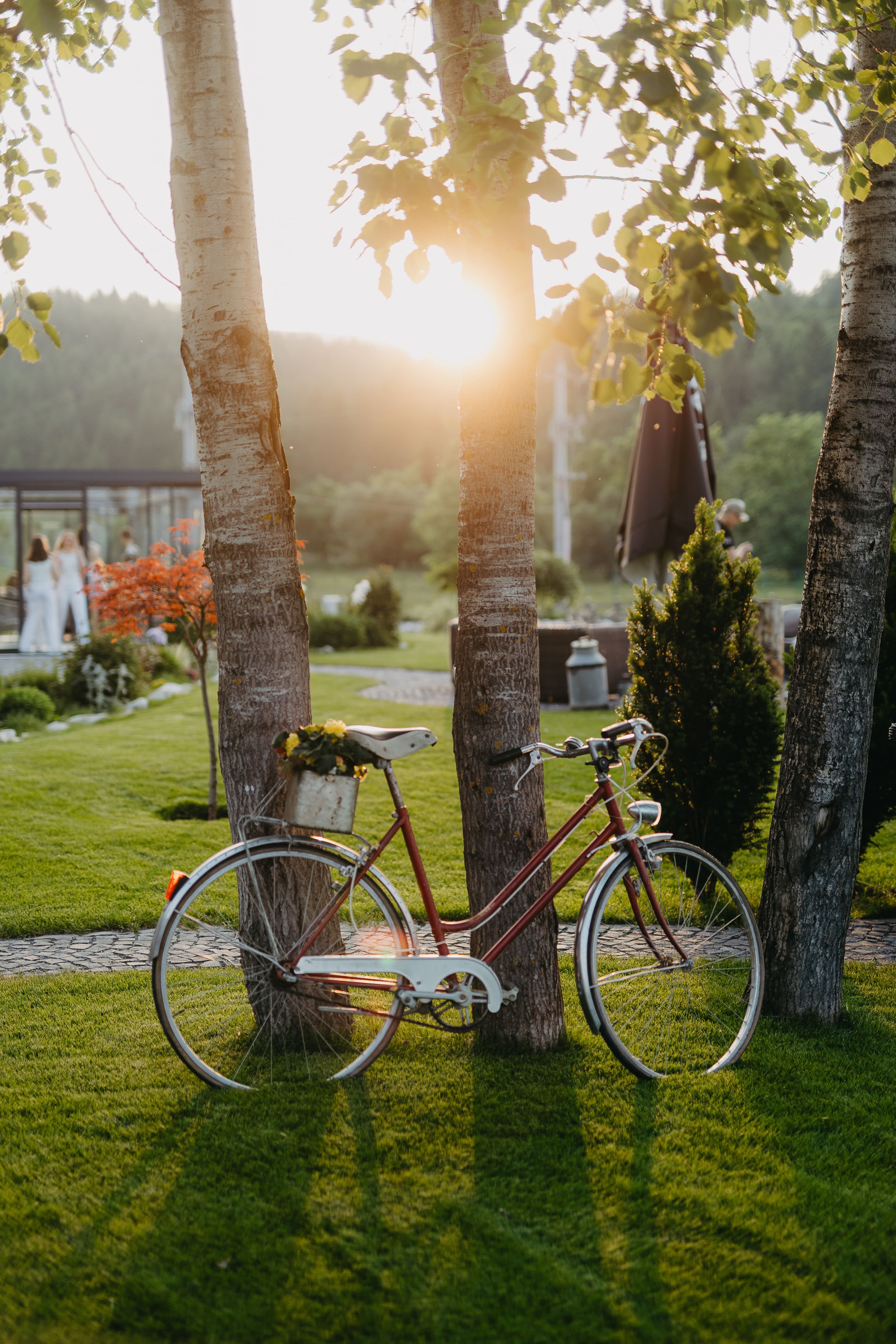 Timian Chalet welcome divider image 4