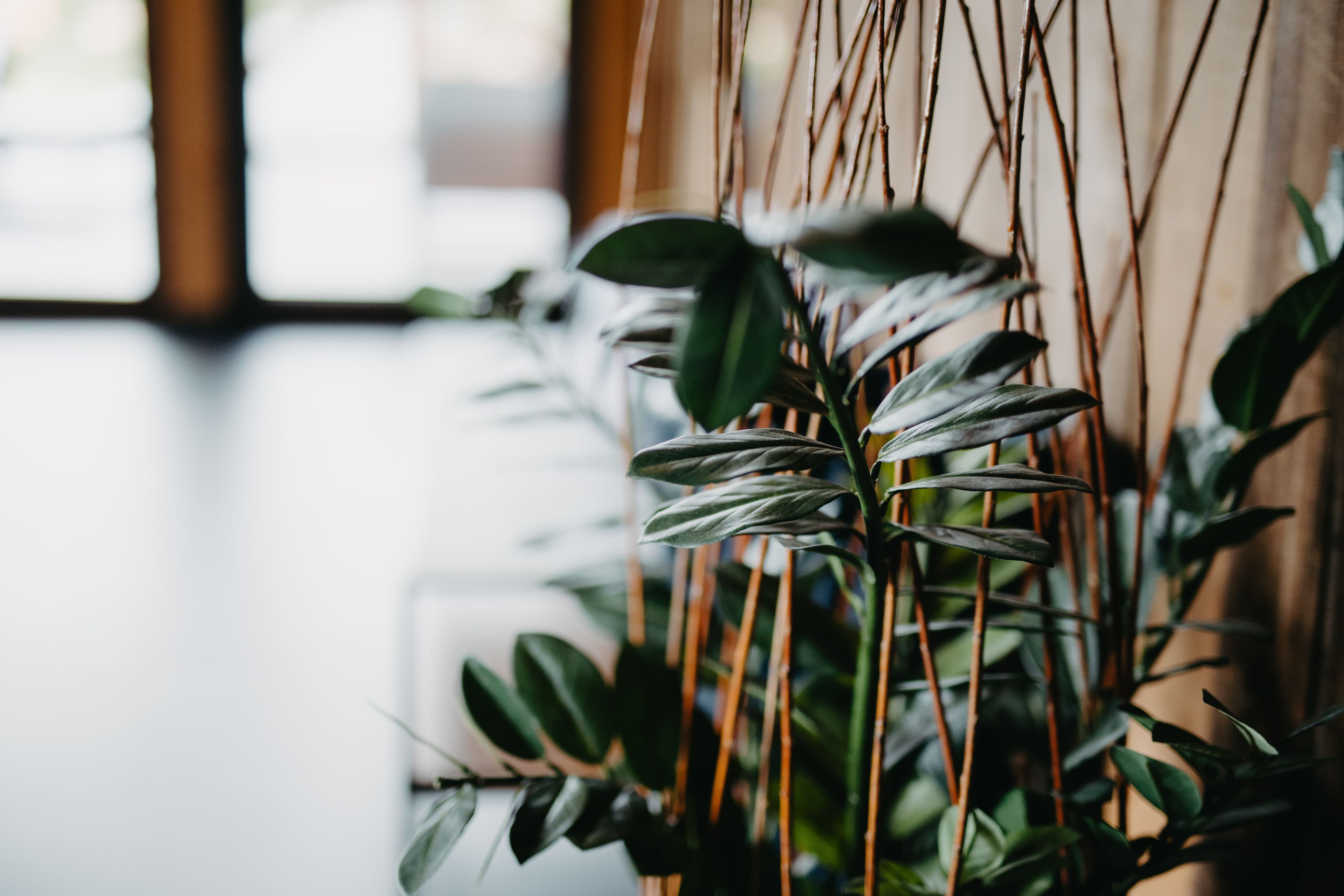 Wellness divider image 5