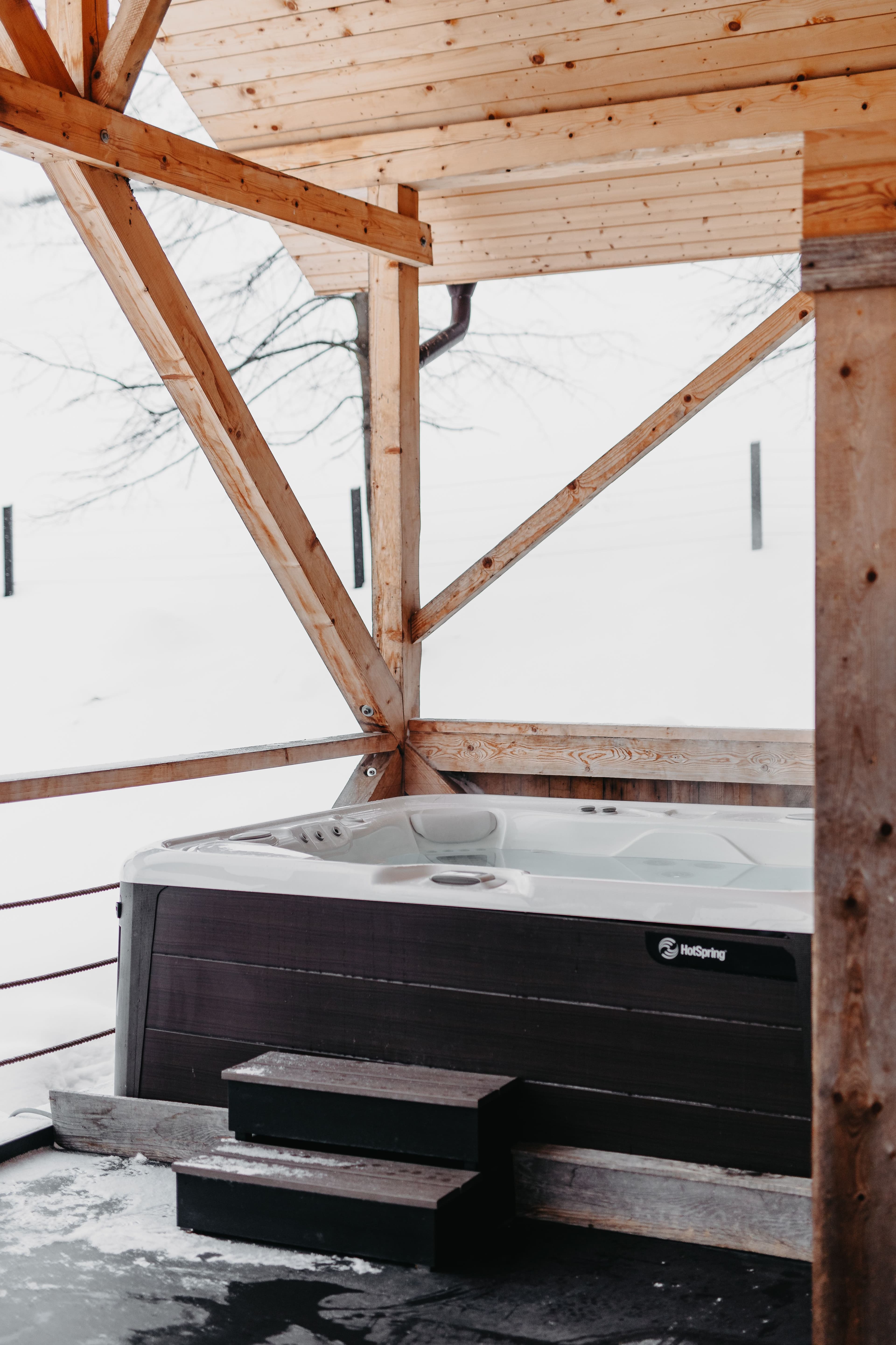 Hydrotherapy and wellness details