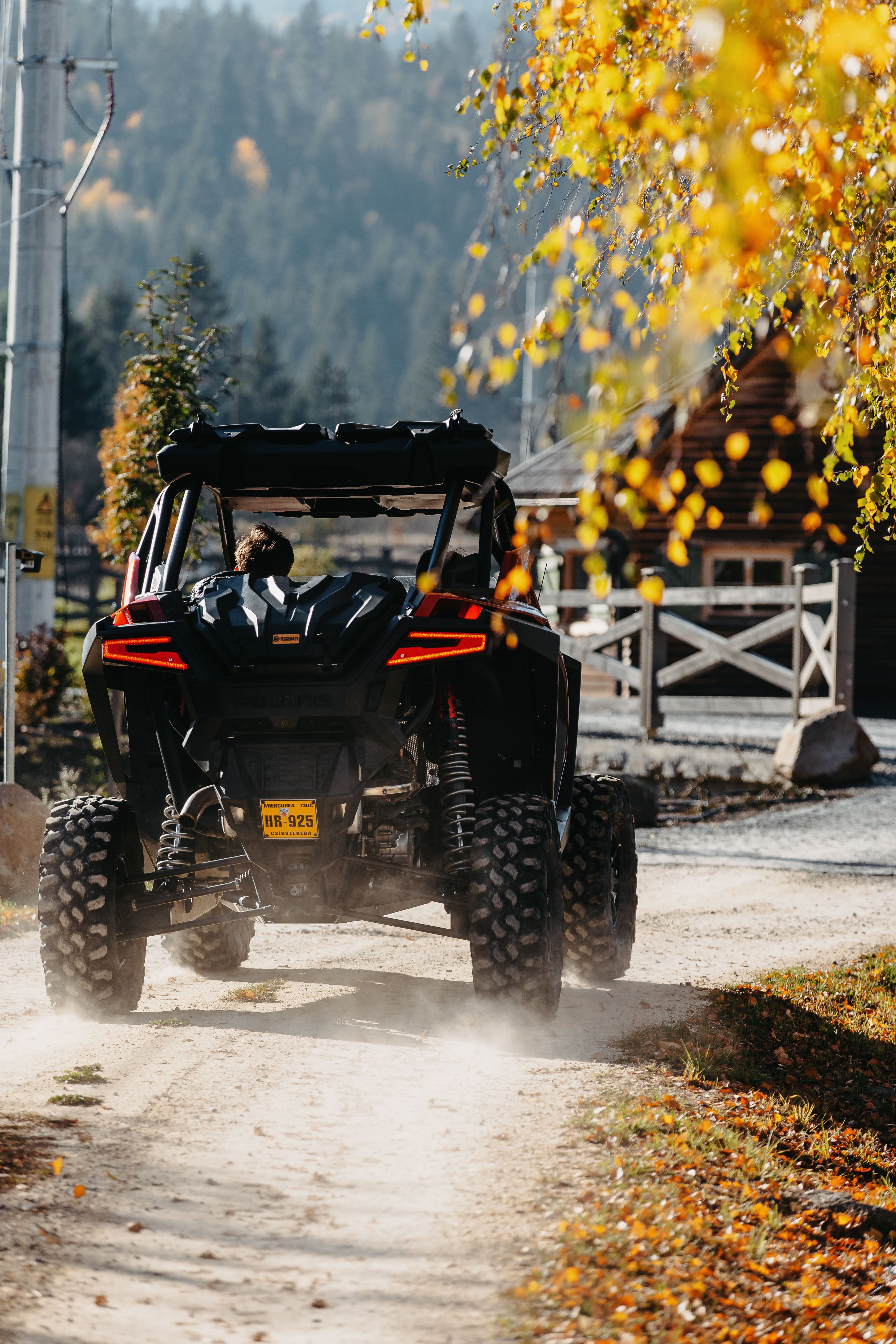 Forest road adventure near Timian